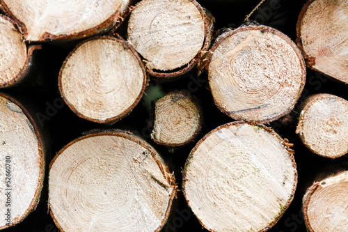 Holzstapel / Wooden Background photo