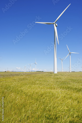 wind energy