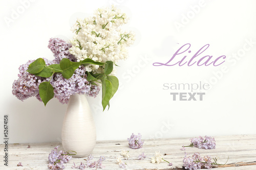 Beautiful Bunch of Lilac in the Vase