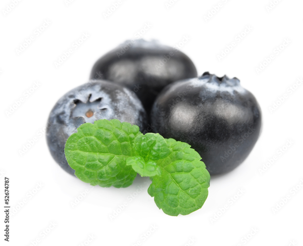 bilberry bilberry