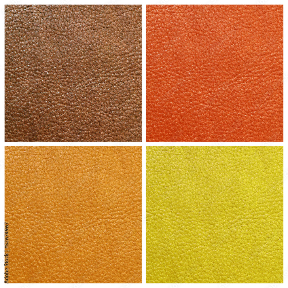 Fototapeta premium fine leather samples set