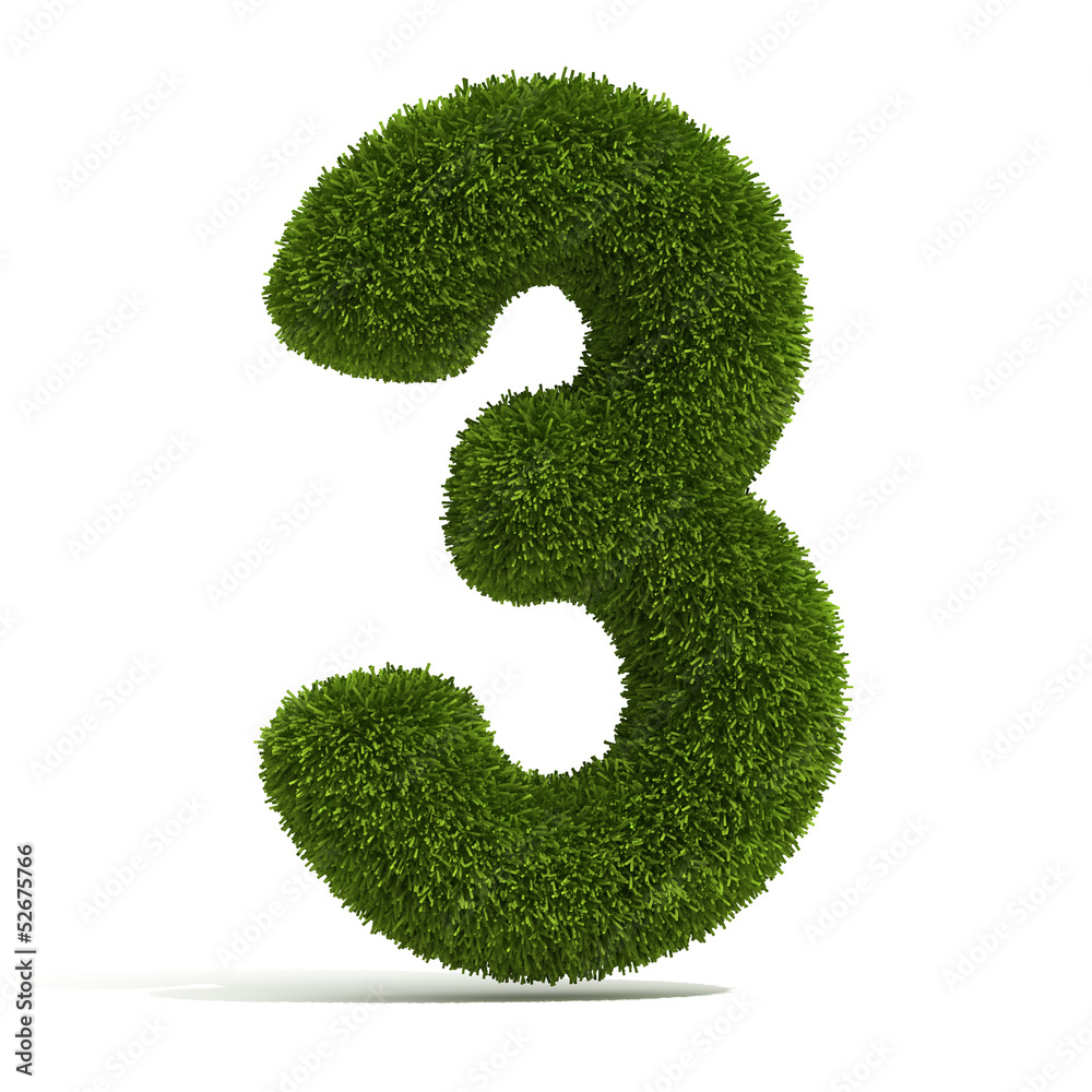 The Number 3 - Grass The Number 3 - Grass