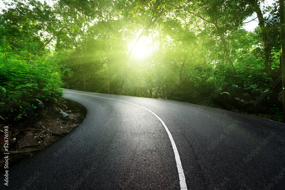 Fototapeta premium empty road in jungle of Seychelles islands