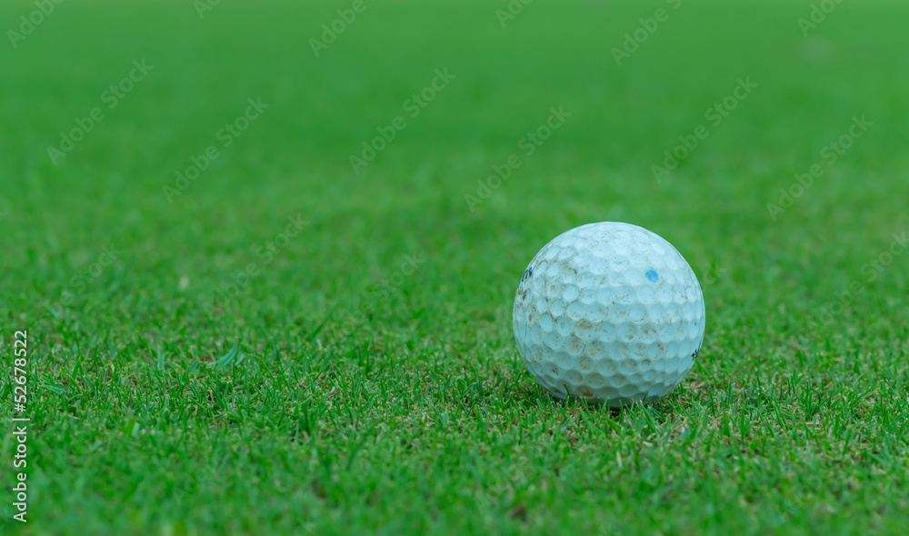 Glof on Green Glof on Green