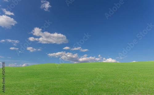 grass and blue sky