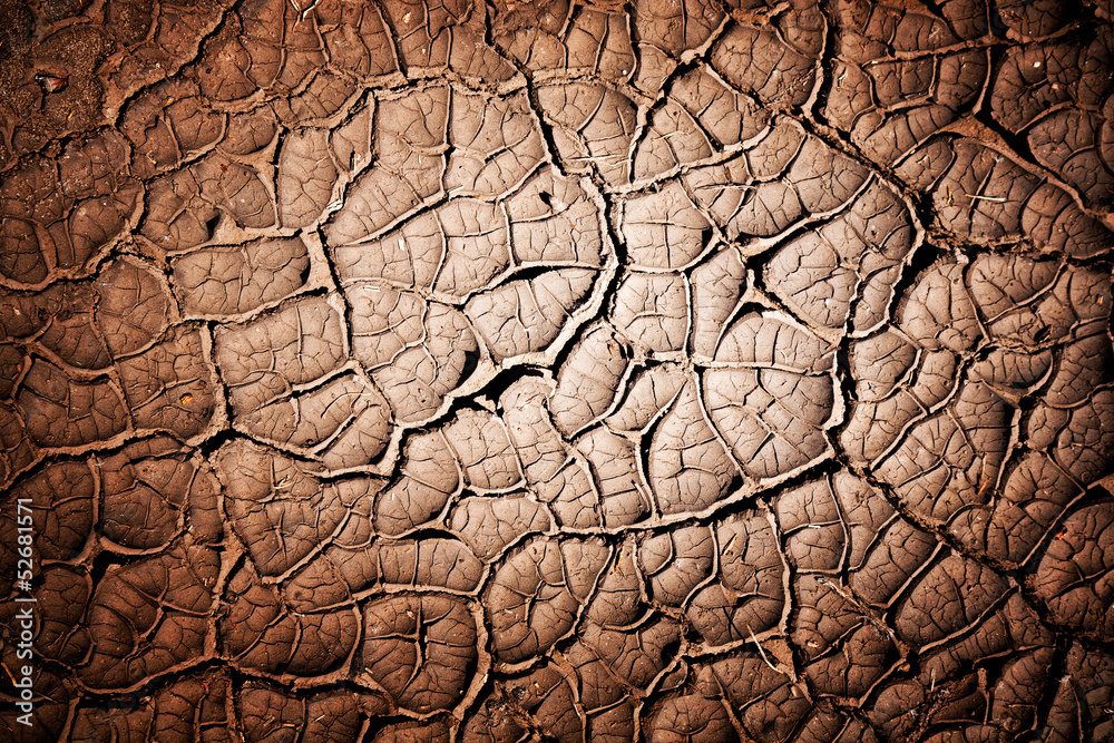 Fototapeta premium Ground texture