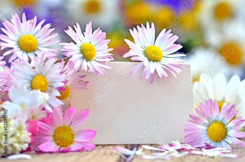 Liebe Grüße mit Gänseblümchen