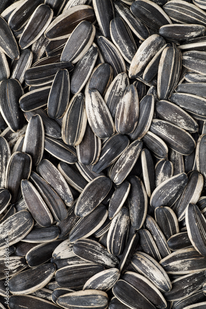 sunflower seeds