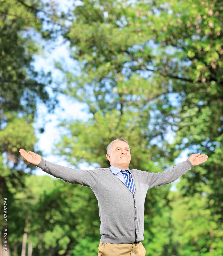 Happy gentleman spreading his arms and looking upwards in a park