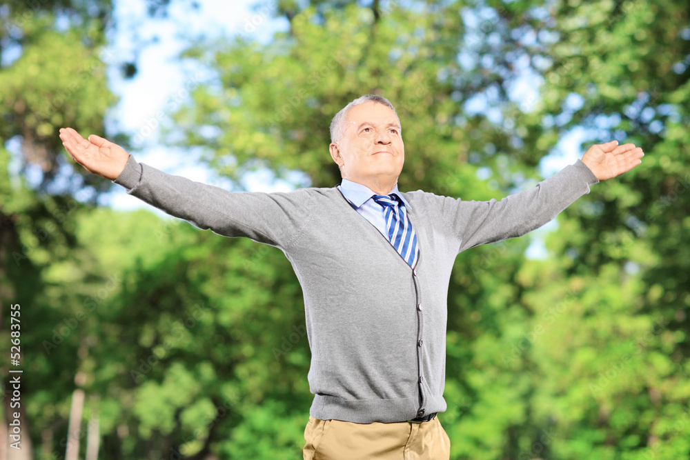Happy gentleman spreading his arms in a park Happy gentleman spreading his arms in a park