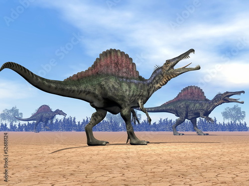 Spinosaurus dinosaurs walk - 3D render © Elenarts