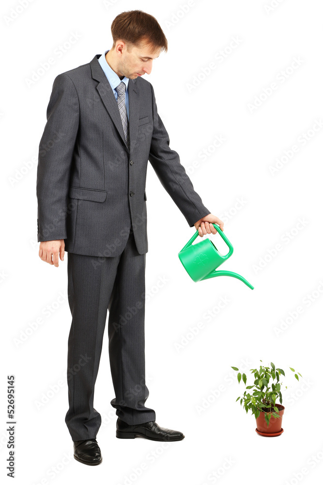 Young businessman watering pot isolated on white Young businessman watering pot isolated on white