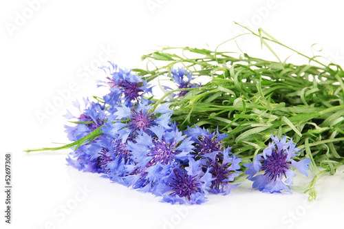 Beautiful bouquet of cornflowers  isolated on white