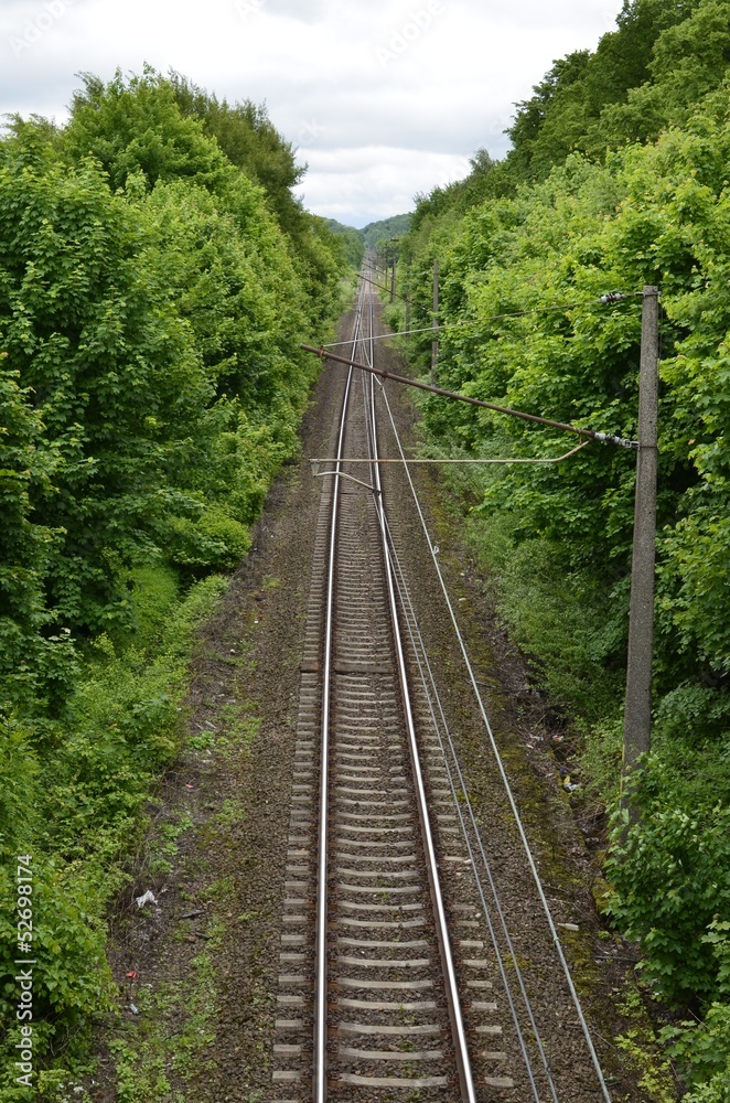 Railroad Tracks Leading Through The Forest Railroad Tracks Leading Through The Forest