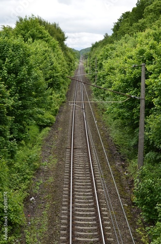 Railroad Tracks Leading Through The Forest