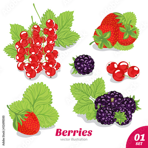 Fototapeta Naklejka Na Ścianę i Meble -  Set of strawberries, blackberries, red currants