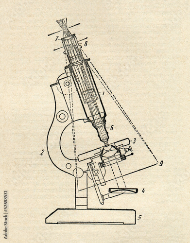 Microscope Diagram