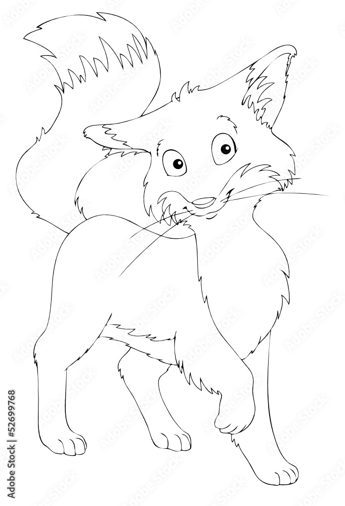 Fototapeta premium Fuchs, Tier, Wildtier, Waldtier, schlau