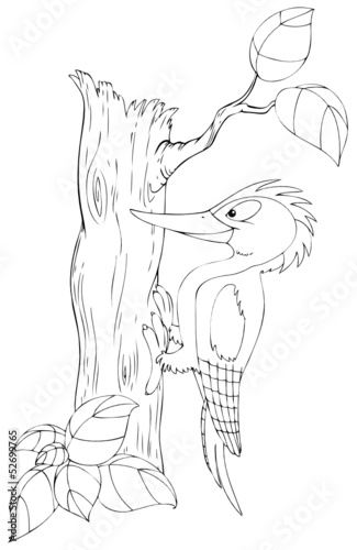 Specht, hämmern, Holz, Baum, laut, Buntspecht