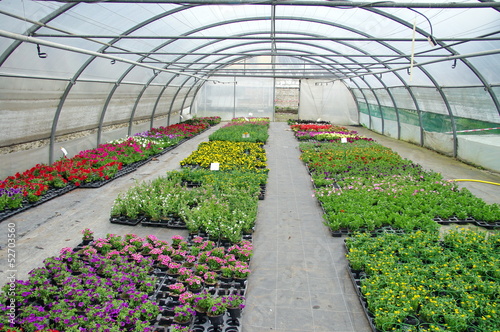 serre agricole photo