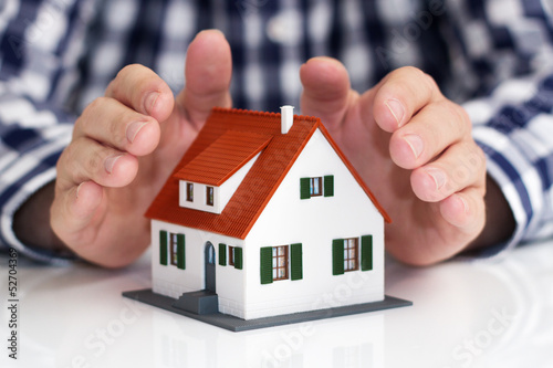 Hand over mini house