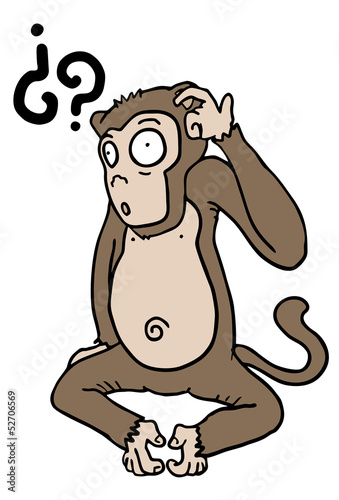 Monkey question