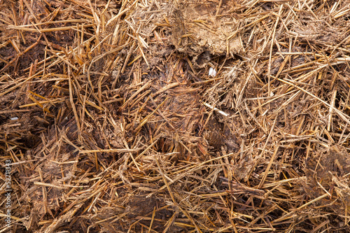 Close-up of manure mixed with hay photo