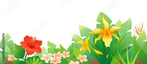 Fototapeta Naklejka Na Ścianę i Meble -  Tropical flowers