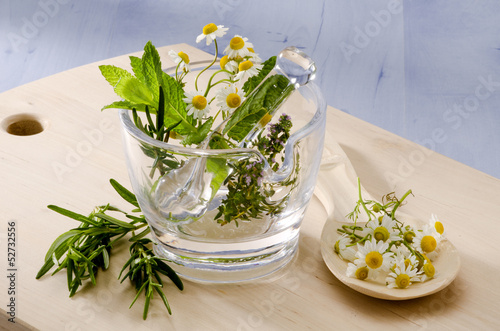 Obraz na plátně Herbal Medicine.