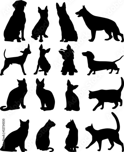 Silhouettes cats and dogs