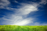 Green grass lawn and blue sky with light clouds
