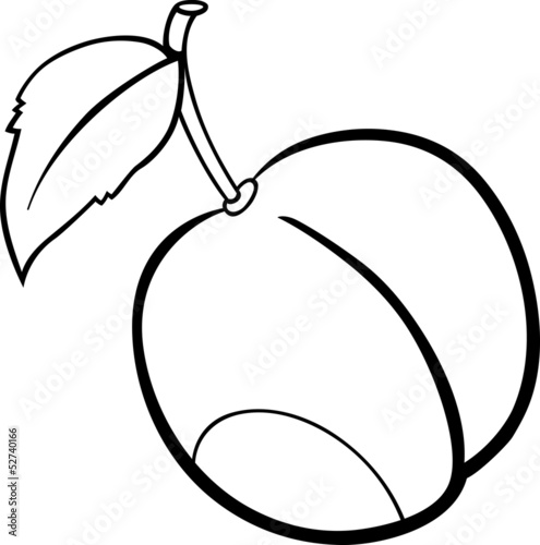 plum fruit illustration for coloring book