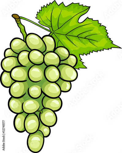 white grapes fruit cartoon illustration