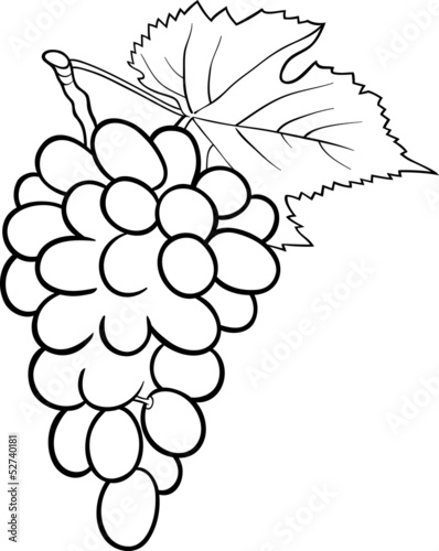 grapes illustration for coloring book