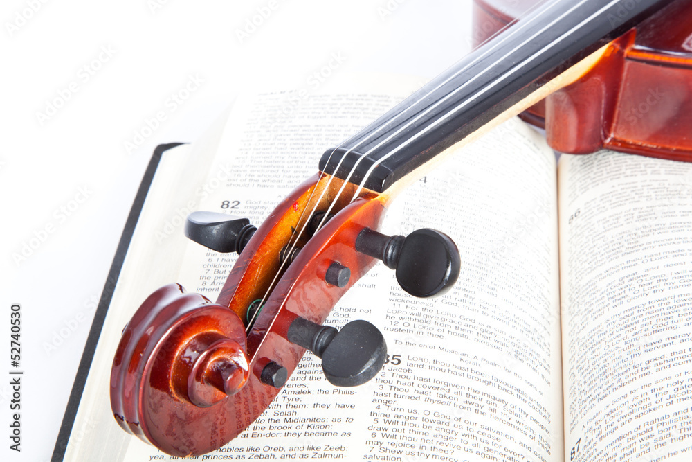 Fototapeta premium violin