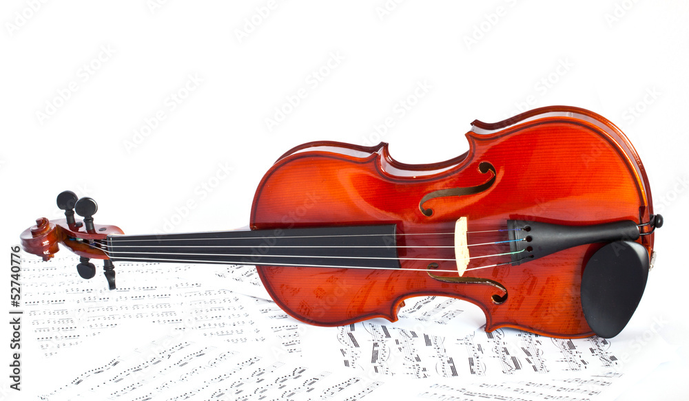 Fototapeta premium violin