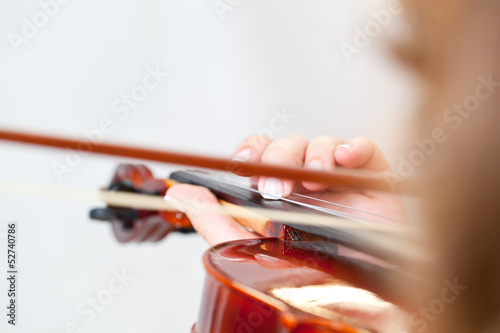 Violin