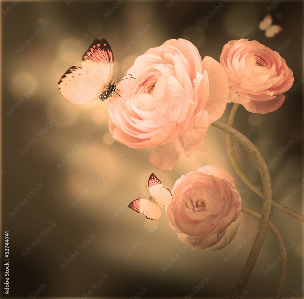 Bouquet of pink roses against a dark background  butterfly - obrazy, fototapety, plakaty 