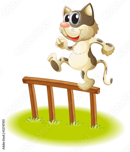 A cat crossing the fence