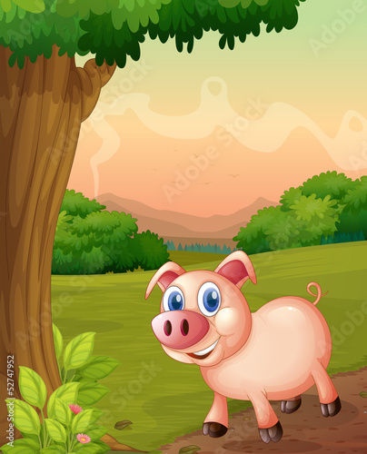 A smiling pig under the tree