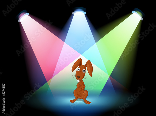 A rabbit show on stage