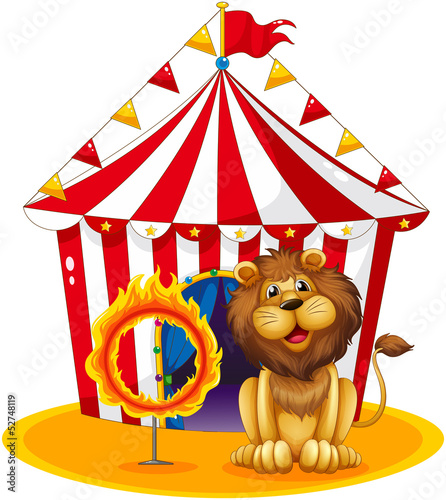 A lion beside a fire hoop at the circus