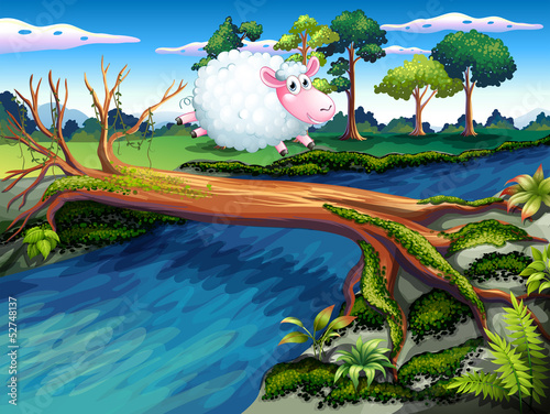 A sheep crossing the river
