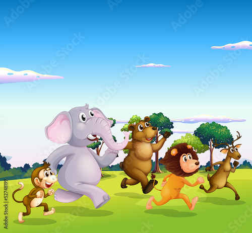Five wild animals running