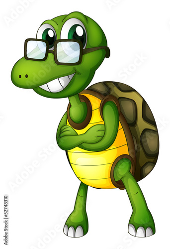 A turtle standing with an eyeglass