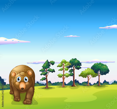 A big brown bear walking