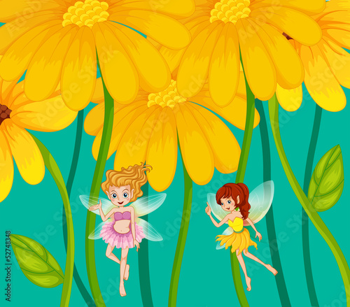 Two fairies under the flowers