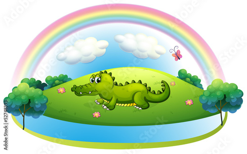 An alligator at the hill with a rainbow
