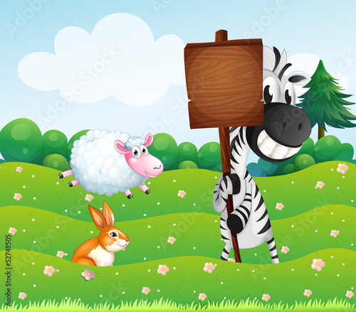 A zebra holding an empty wooden signboard at the hill