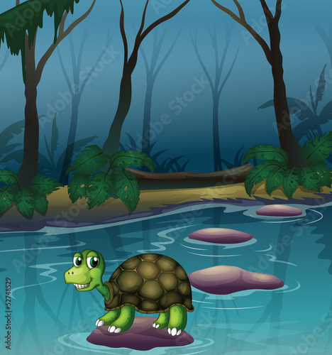 A turtle at the lake
